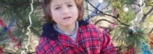 На Одесчине военные и волонтеры всю ночь искали 4-летнюю девочку (фото)