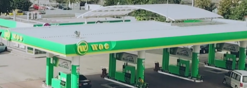 Антимонопольному комитету тяжело с WOG