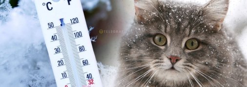 Погода в Україні