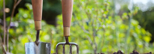 Что посадить на огороде в августе