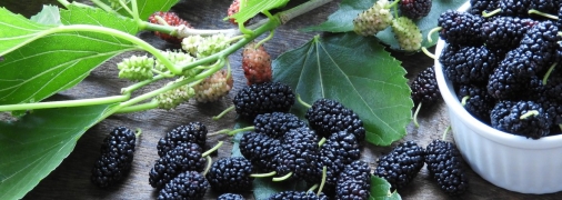 Действенные способы легко очистят кожу