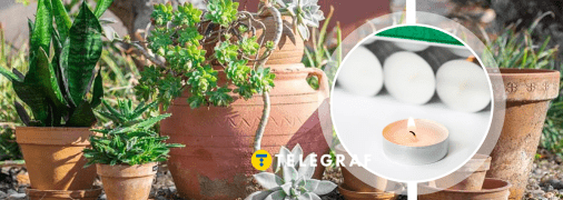 Можно использовать горшки из-под цветов.