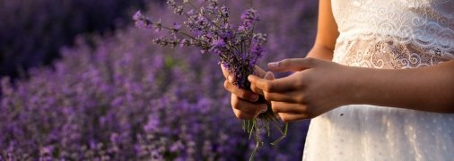 Какие цветы дарить на 14 февраля? Экологи отвечают — дарить следует сезонное г**но