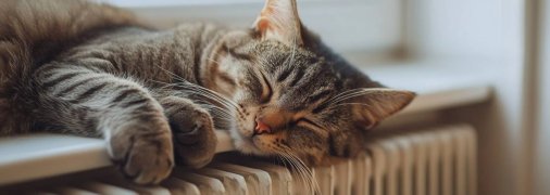 В період вимкнень світла утеплення будинку є дуже важливим