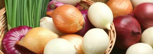 Вартість популярного овоча тепер більш доступна для українців