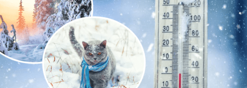 Погода зимой