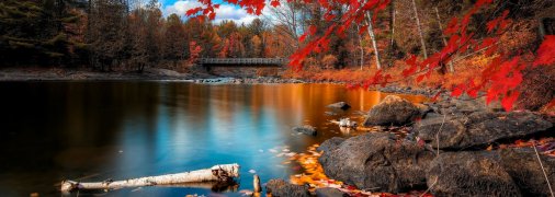 "У багрець і золото одягнені ліси"