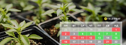 Посівний календар допоможе у плануванні повторної посадки деяких культур
