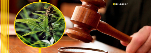 Суд засудив чоловіка, який зберігав заборонені рослини