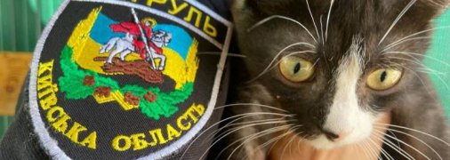 В полиции рассказали, как бороться против жестокого обращения с животными