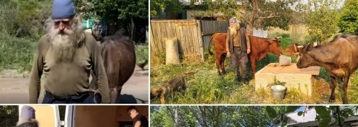 Коллаж "Телеграфа"