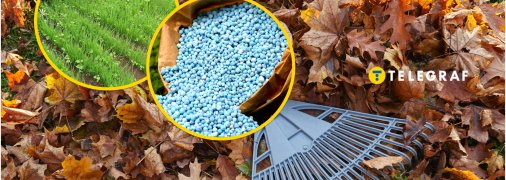 Восени город потребує підживлення