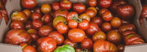 Ідеально для томатної заготівлі