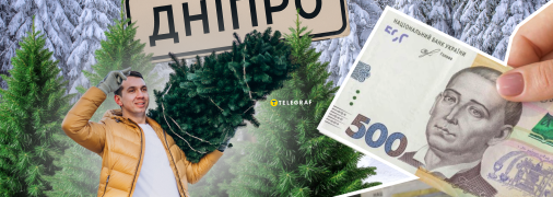 Ялинки у Дніпрі