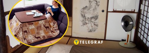 Будинок в Японії