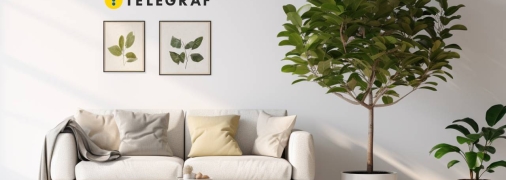 Фікус має особливе значення для тих, хто прагне успіху