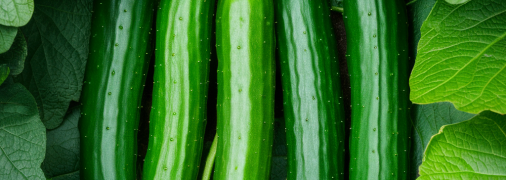 Огурцы нуждаются в правильной подкормке (изображение создано с помощью ИИ)