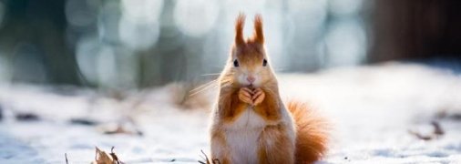 Потеплеет до +9: синоптики порадовали прогнозом погоды до конца недели