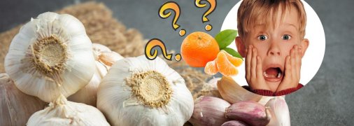 Желтые зубчики чеснока – это нормально