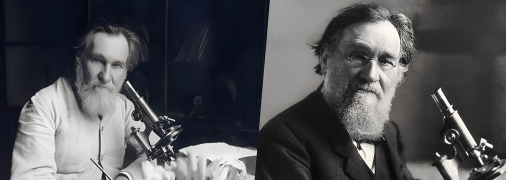 Что известно о деятельности биолога Ильи Мечникова