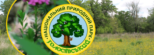 Что интересного растет в Национальном природном парке "Голосеевский"