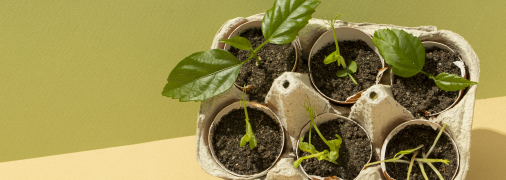 Настав час подумати про майбутній врожай