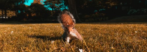 Жовтень — час холодів та свят