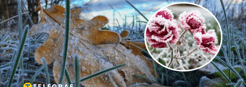 Заморозки в Україні