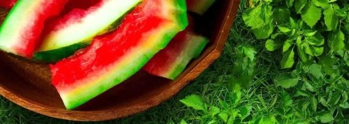 Нашествие улиток и слизней больше не будет страшно