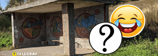 На зупинці побачили коня