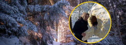 Зимний лес, владелец со своим "коконом"