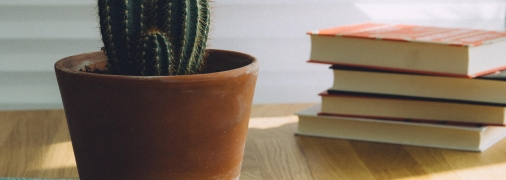 Какие цветы приносят удачу на работе