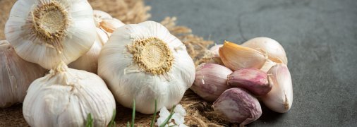 Зубчики часнику для посадки мають бути великими
