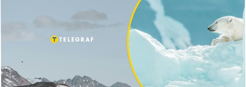 Белый полярный медведь в Арктике