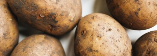 Полезные лайфхаки для огородников