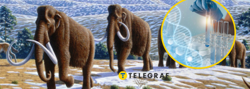 Родина мамонтів