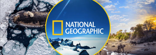 Иллюстративное фото