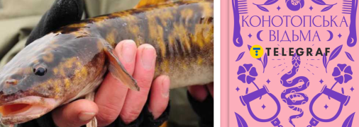 Від класичної літератури до Червоної книги