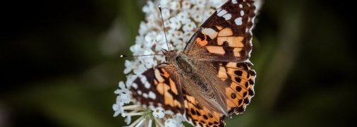 Какие завтра праздники: традиции и приметы на 4 июля