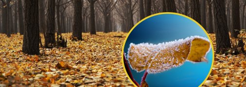 Осенняя погода