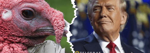 Дональд Трамп, індичка