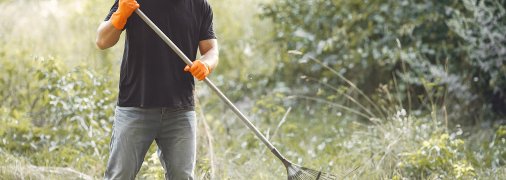 Чим вивести бур’ян на дачі, щоб не ріс