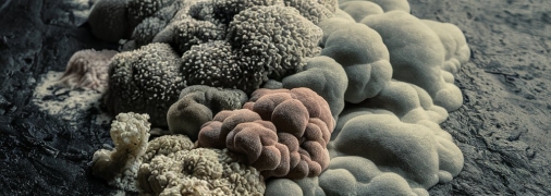 Плесня может вызвать серьезные заболевания (изображение создано с помощью ИИ)