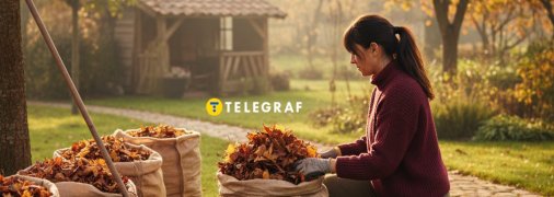 Опале листя можна використовувати для мульчування