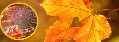 Погода в Україні