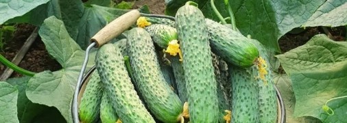 Нереально простий метод