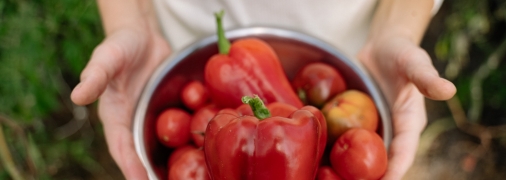 Перець – обов’язкова культура на городі