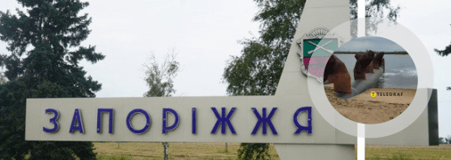 Незвичне місце у Запоріжжі