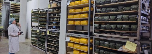 Хмельницкая маслосырбаза получила еврономер и начала экспорт продукции в ЕС