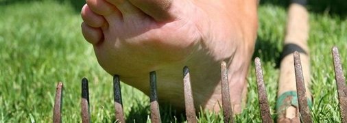 В Запорожской области погибла женщина, подхватившая редкую инфекцию на даче: подробности